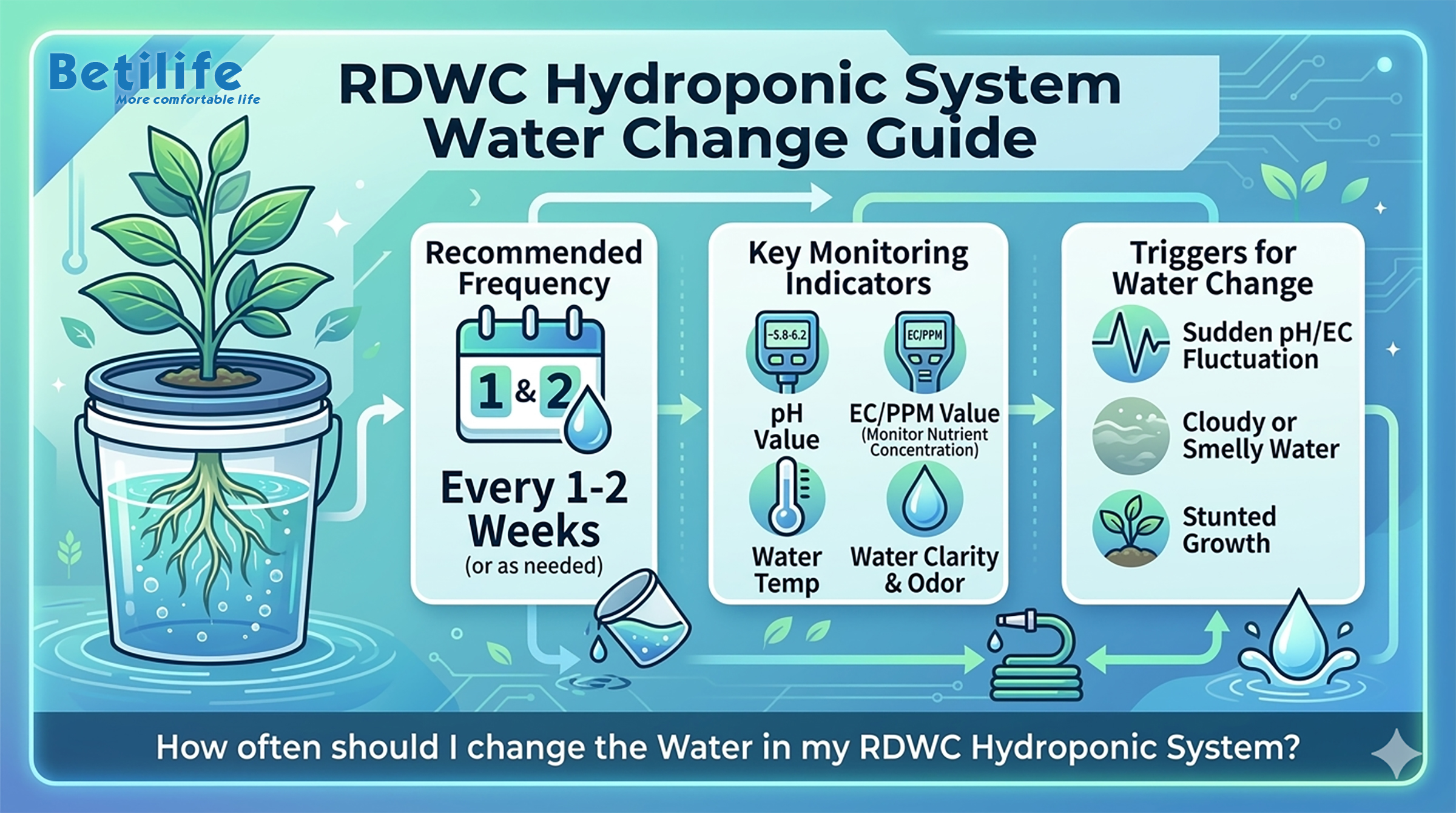 How often should I Change the Water in My RDWC Hydroponic System