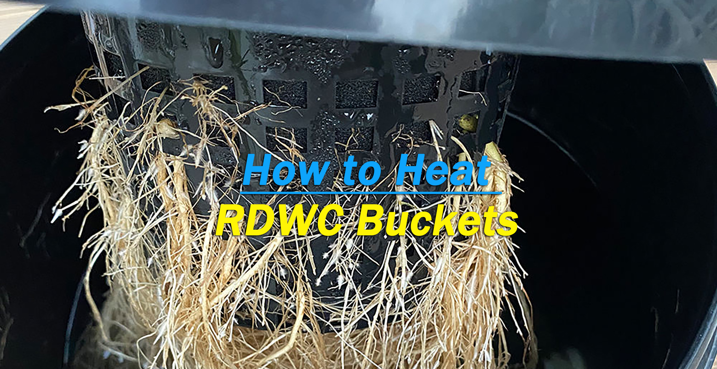 How to Heat RDWC Buckets to the Optimal Temperature
