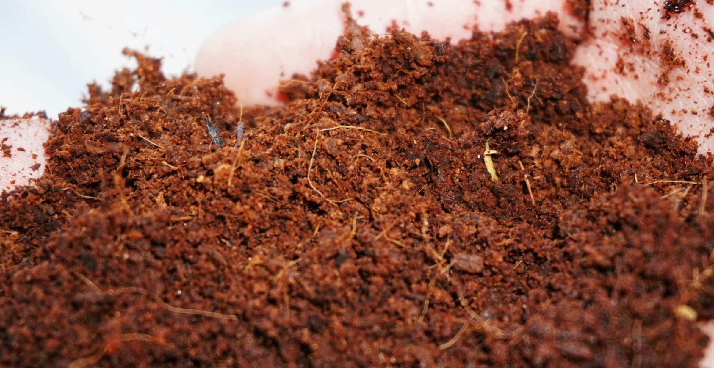 Hydroponic Grow Pods Coir