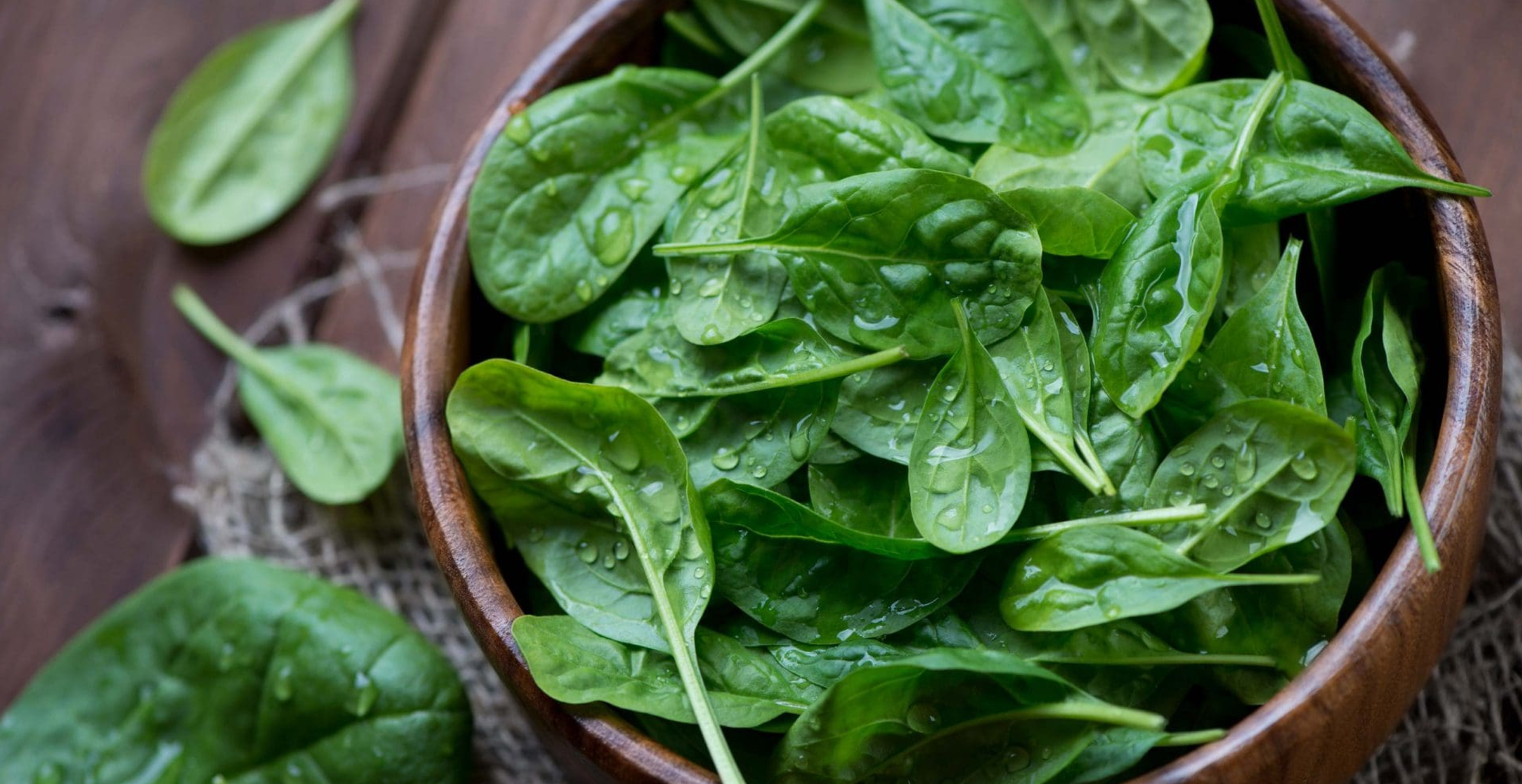 Growing Hydroponic Spinach Indoors