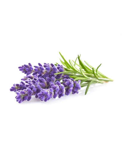 {"default":"Lavender"}
