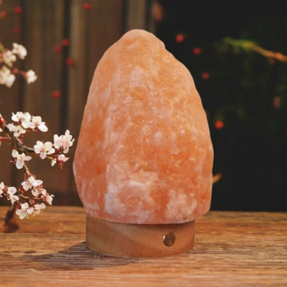 Orange Red USB Himalayan Rock Salt Lamp for Study Room Creative Lights