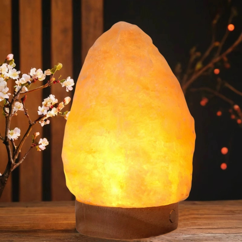 Orange Red USB Himalayan Rock Salt Lamp for Study Room Night lights
