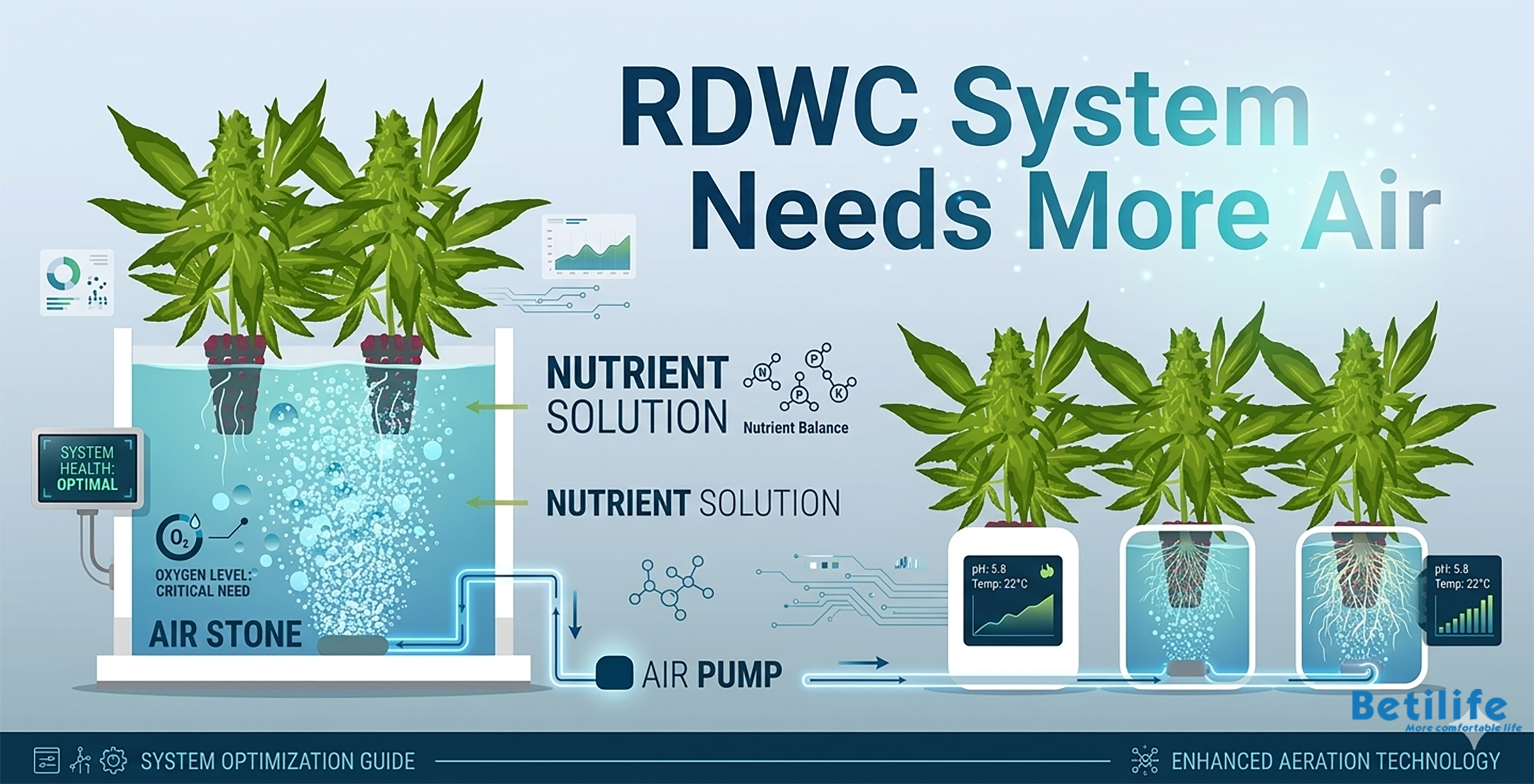 RDWC System Needs More Air