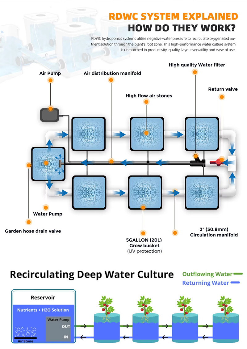 How do the RDWC system work?