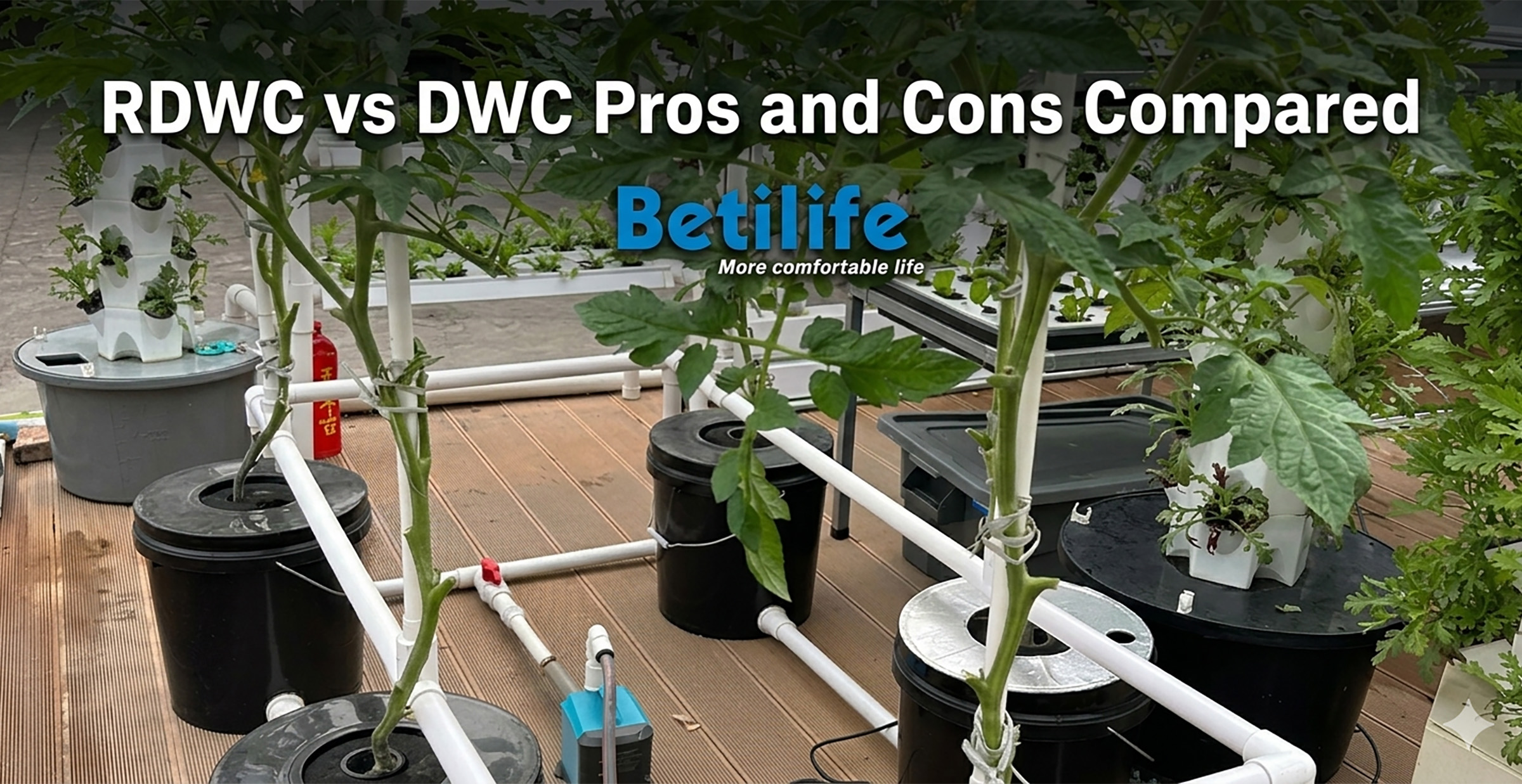 RDWC vs DWC Pros and Cons Compared