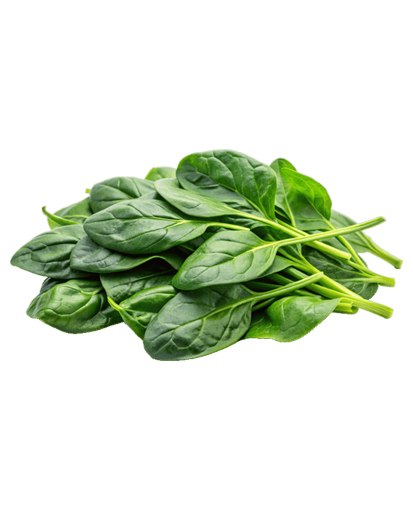 {"default":"Spinach"}
