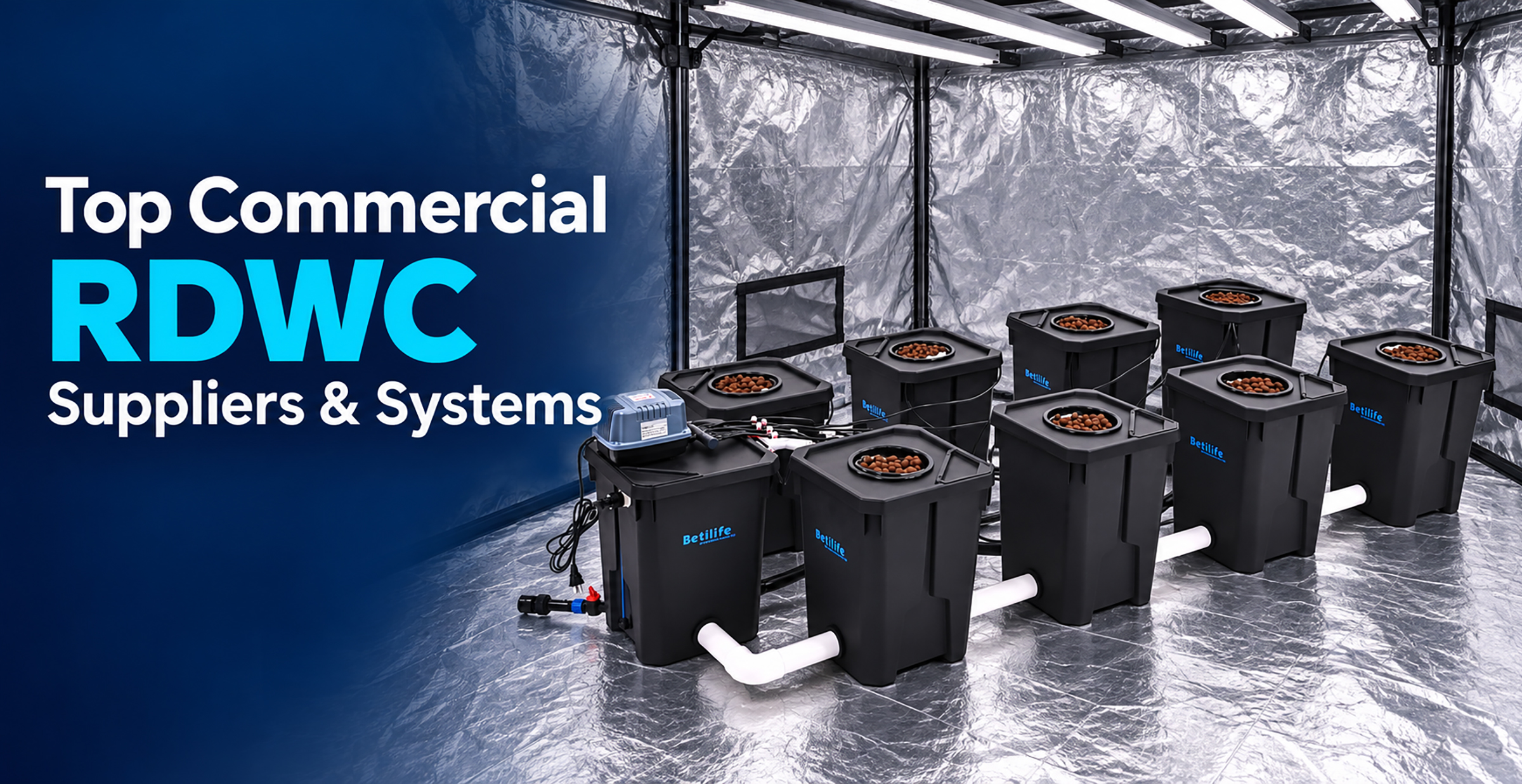 Top Commercial RDWC Suppliers & Systems: Buyer's Guide