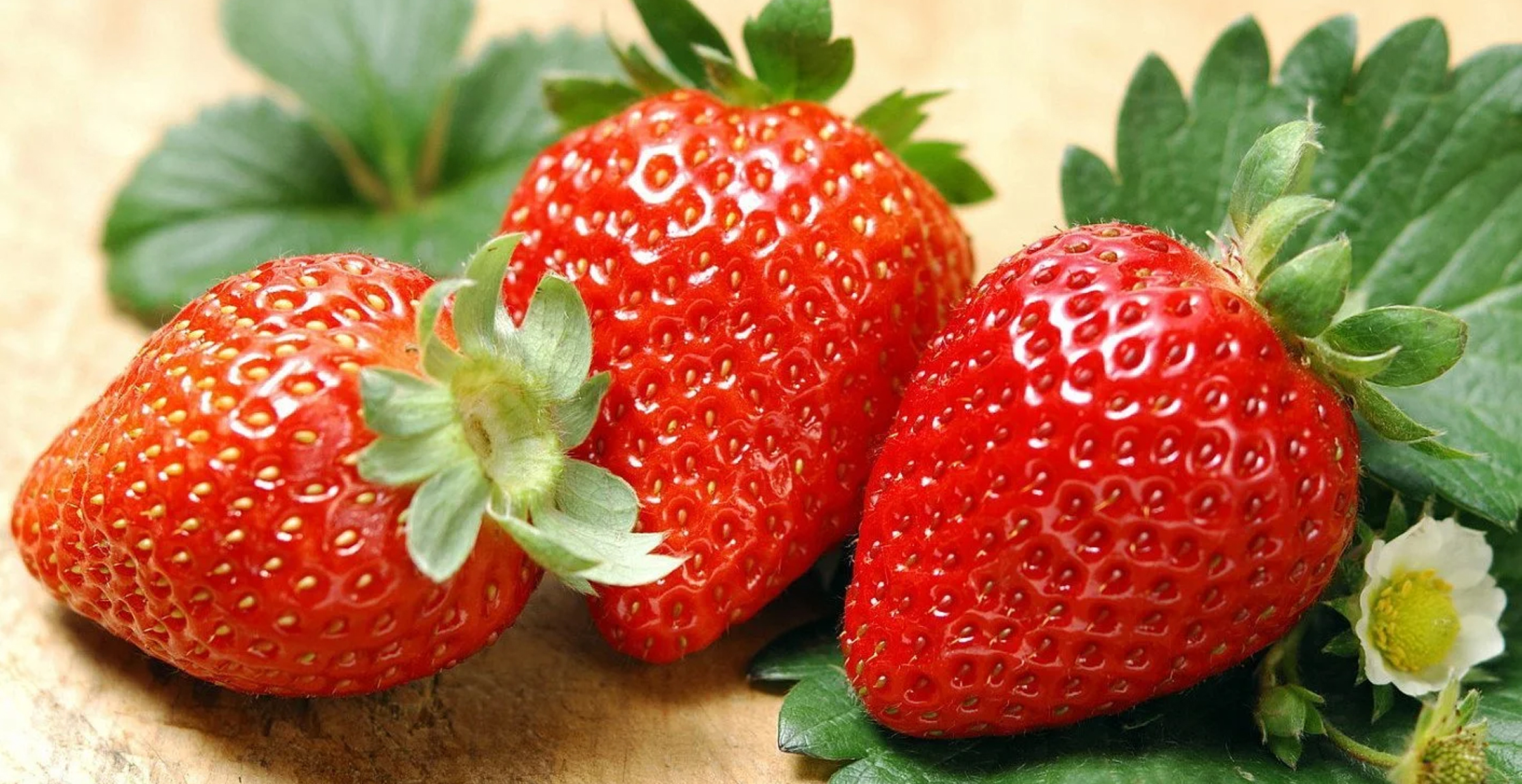 What Are The Best Strawberries To Grow Hydroponically