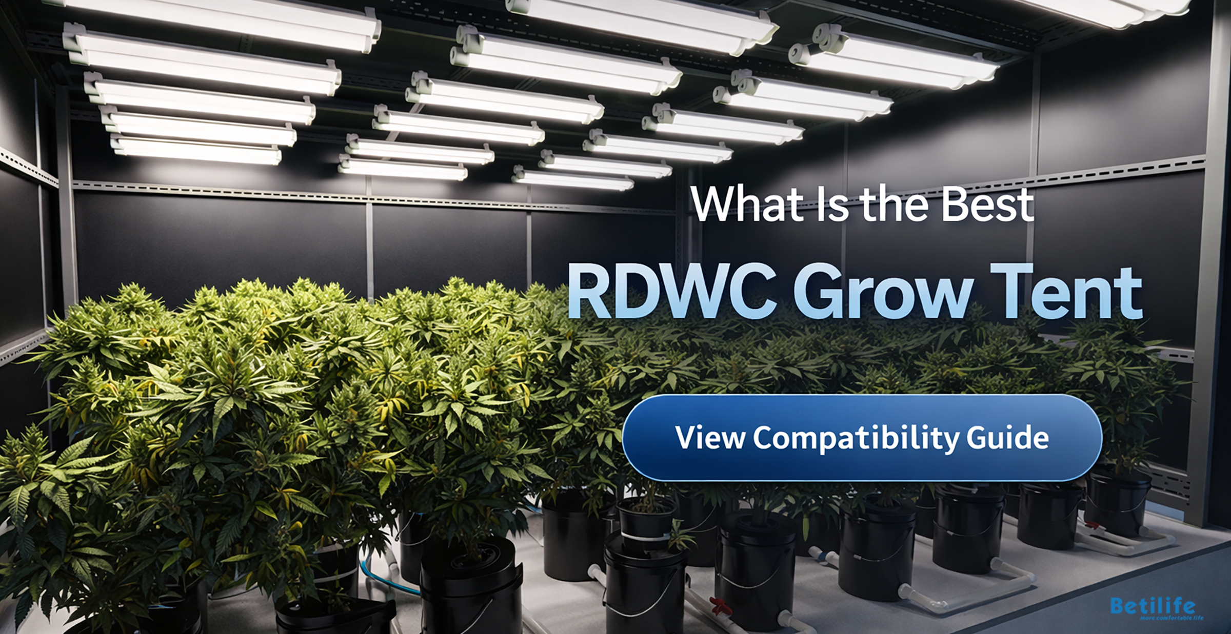 What Is the Best RDWC Grow Tent Compatibility Guide?