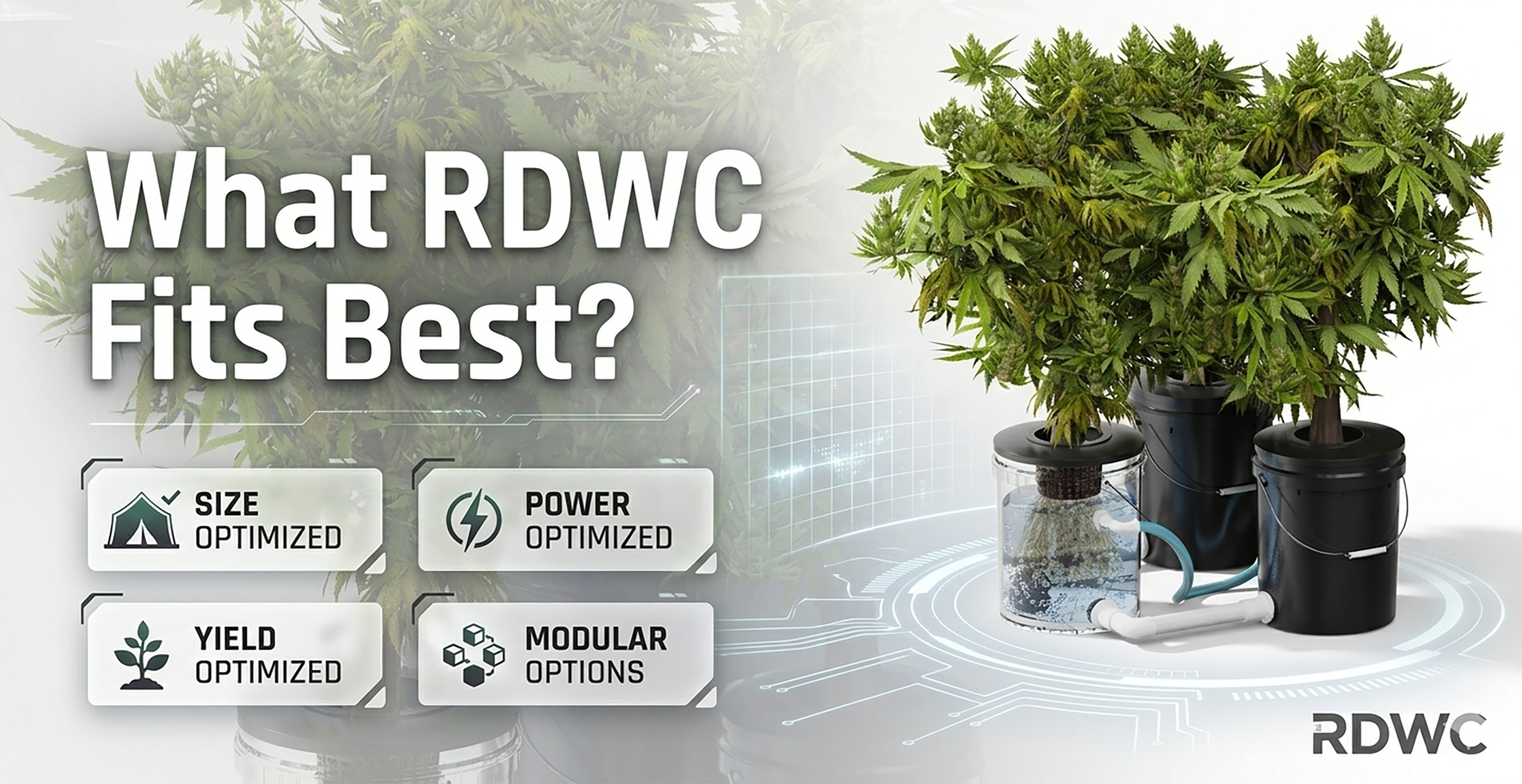 What RDWC Fits Best?