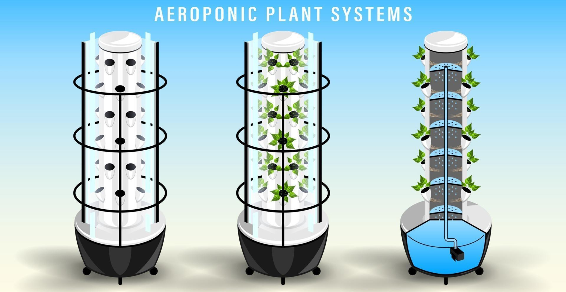 Aeroponic System Work