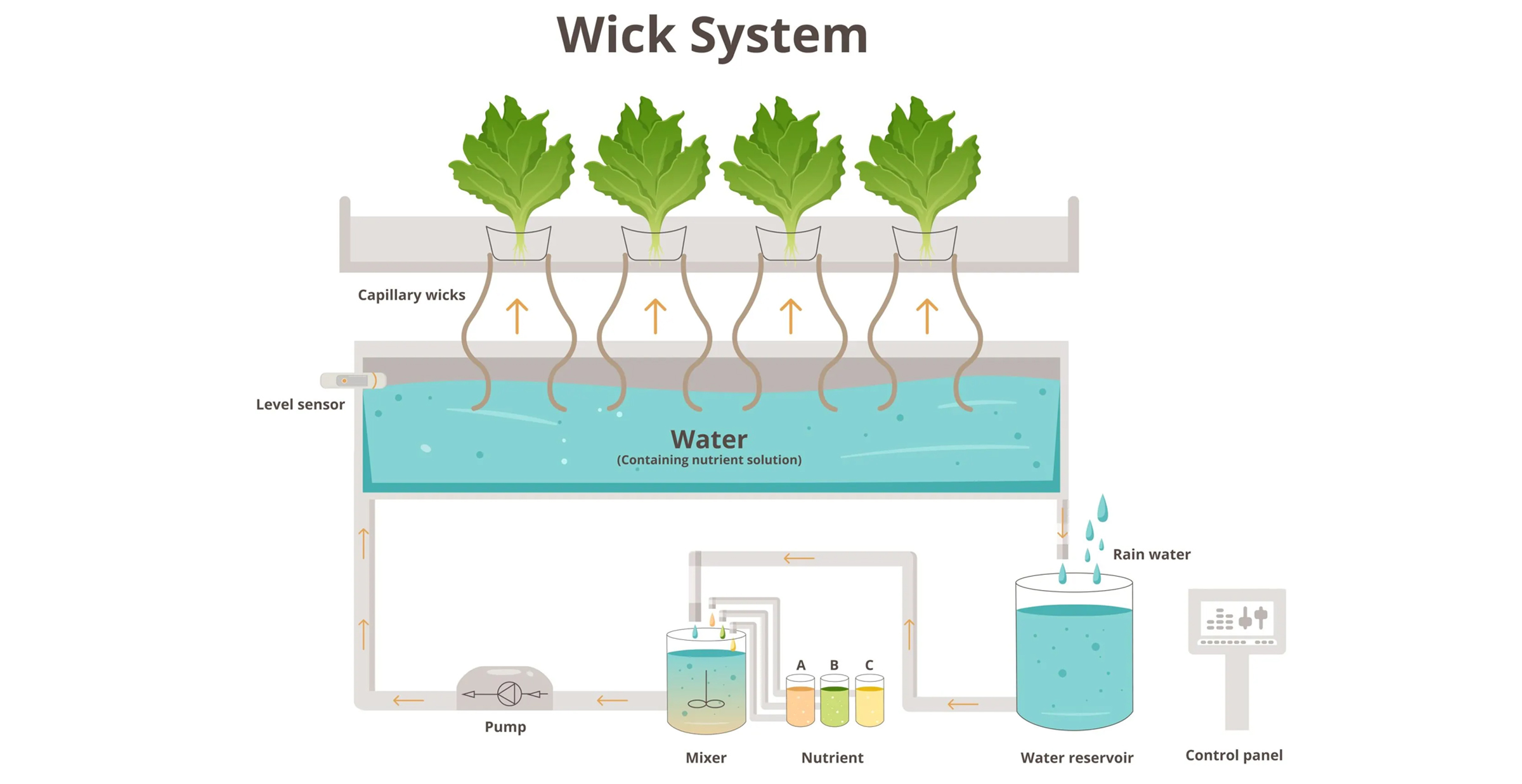 Wick System Hydroponics Diagram