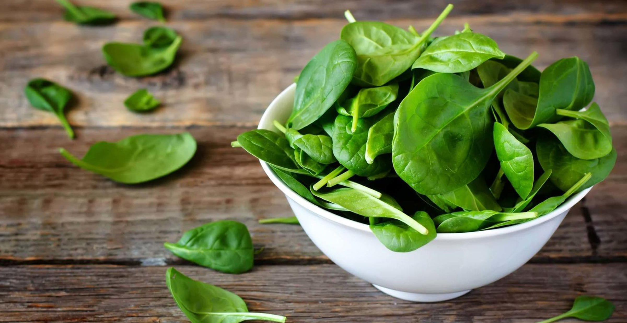 A Guide to Growing Hydroponic Spinach Indoors