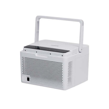 Alpicool C10 Mini Car Fridge with Heating Function-BetiLife™