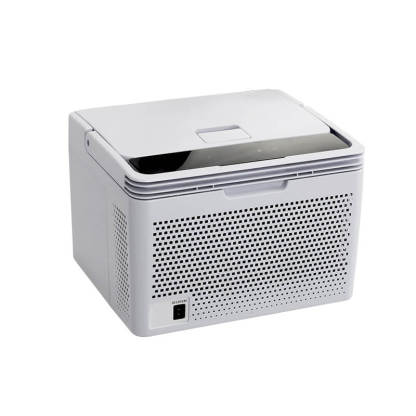 Alpicool C10 Mini Car Fridge with Heating Function-BetiLife™
