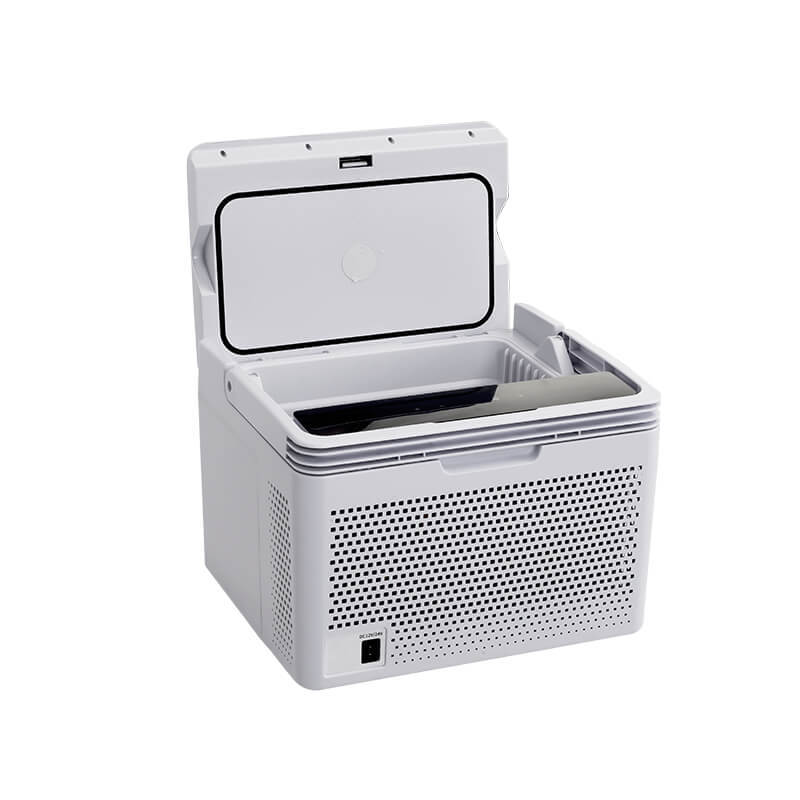 Alpicool C10 Mini Car Fridge with Heating Function-BetiLife™