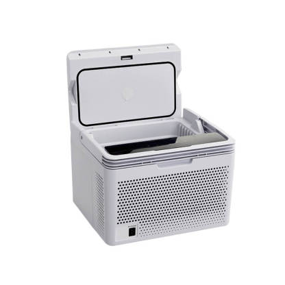 Alpicool C10 Mini Car Fridge with Heating Function-BetiLife™