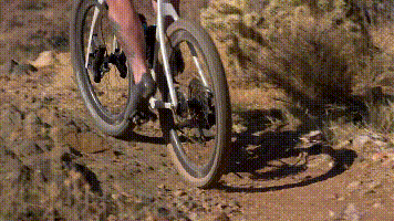 013.gif
