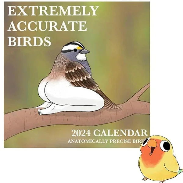 🎁 50% sleva na všechny produkty !🐦Kalendář extrémně přesných ptáků na rok 2024💖
