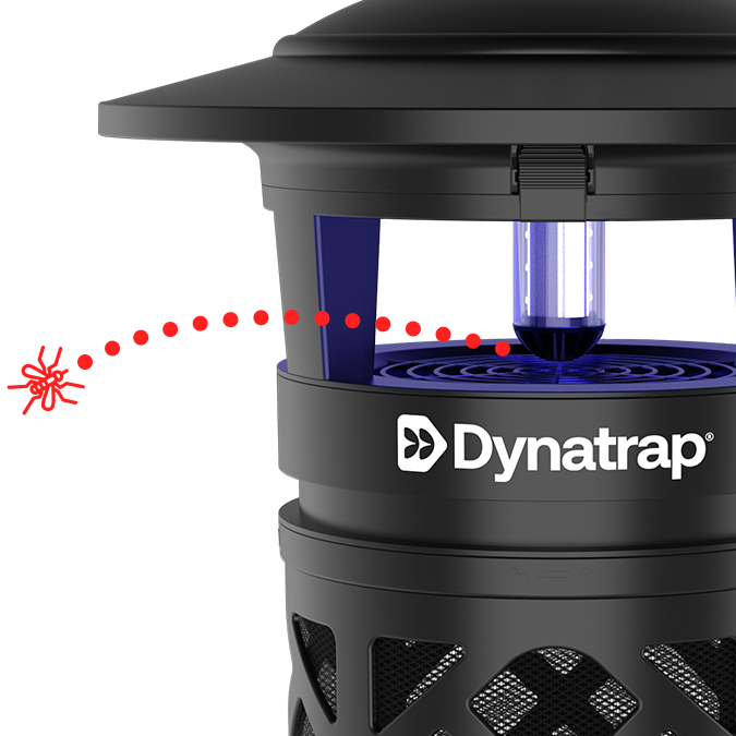 DYNATRAP® 1 ACRE LED PASTI NA KOMÁRY A HMYZ - ČERNÁ