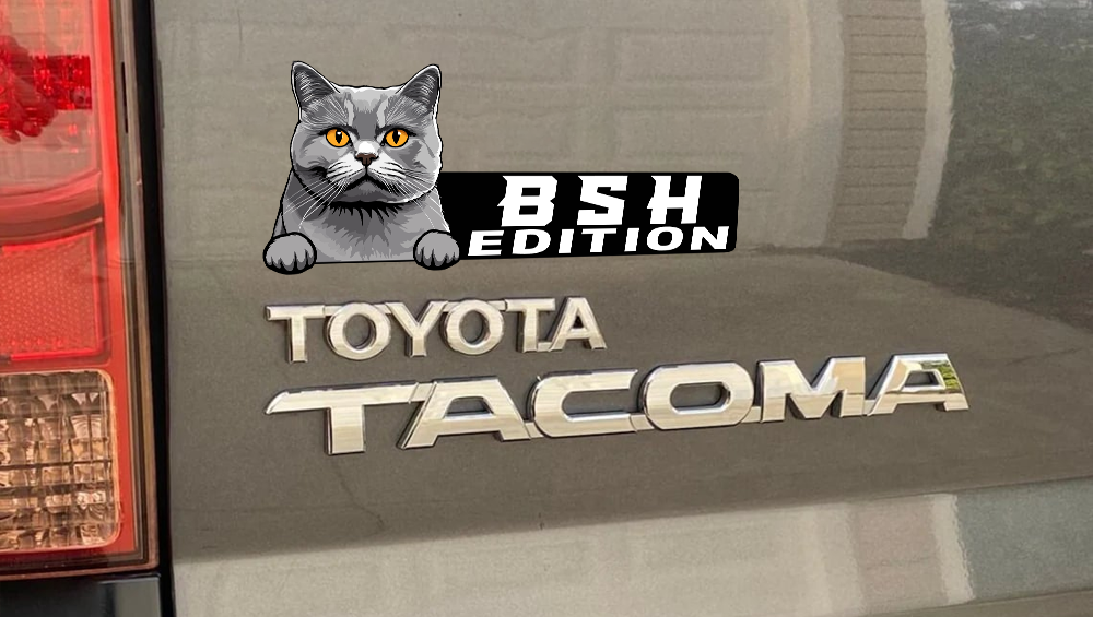 British Shorthair Cat Car Badge Laser Cutting Car Emblem CE181