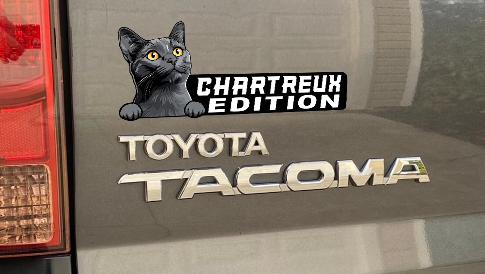 Chartreux Cat Car Badge Laser Cutting Car Emblem CE185