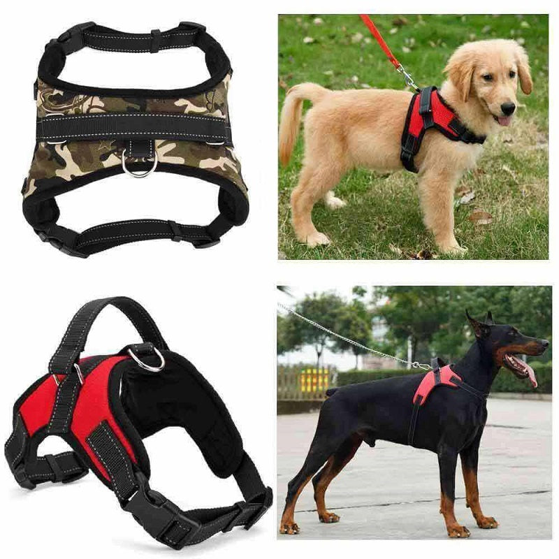 Adjustable Safety Dog Harness