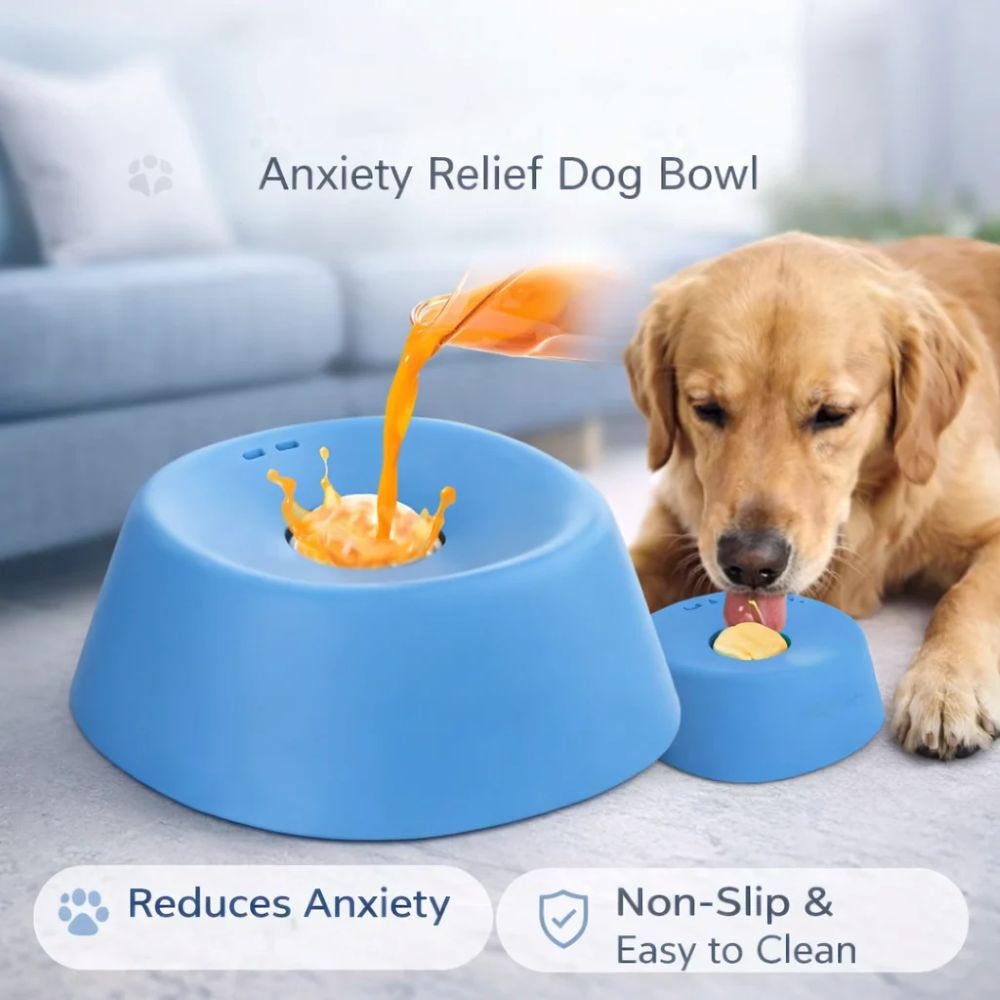 Anxiety Relief Dog Bowl