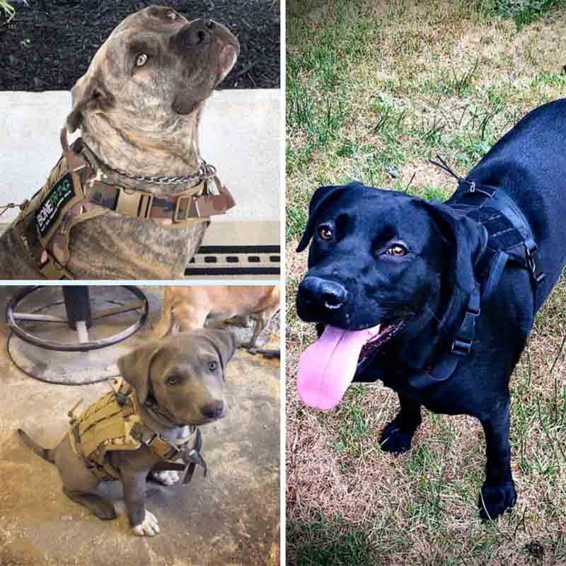 Tactical No-Choke Dog Harness Service Vest With Top Handle