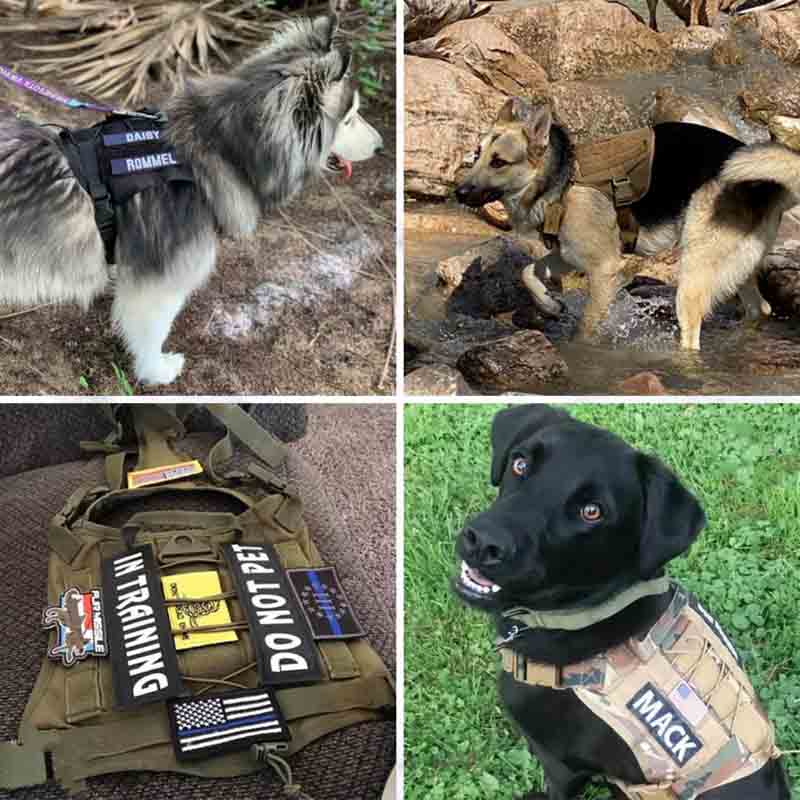 Tactical No-Choke Dog Harness Service Vest With Top Handle