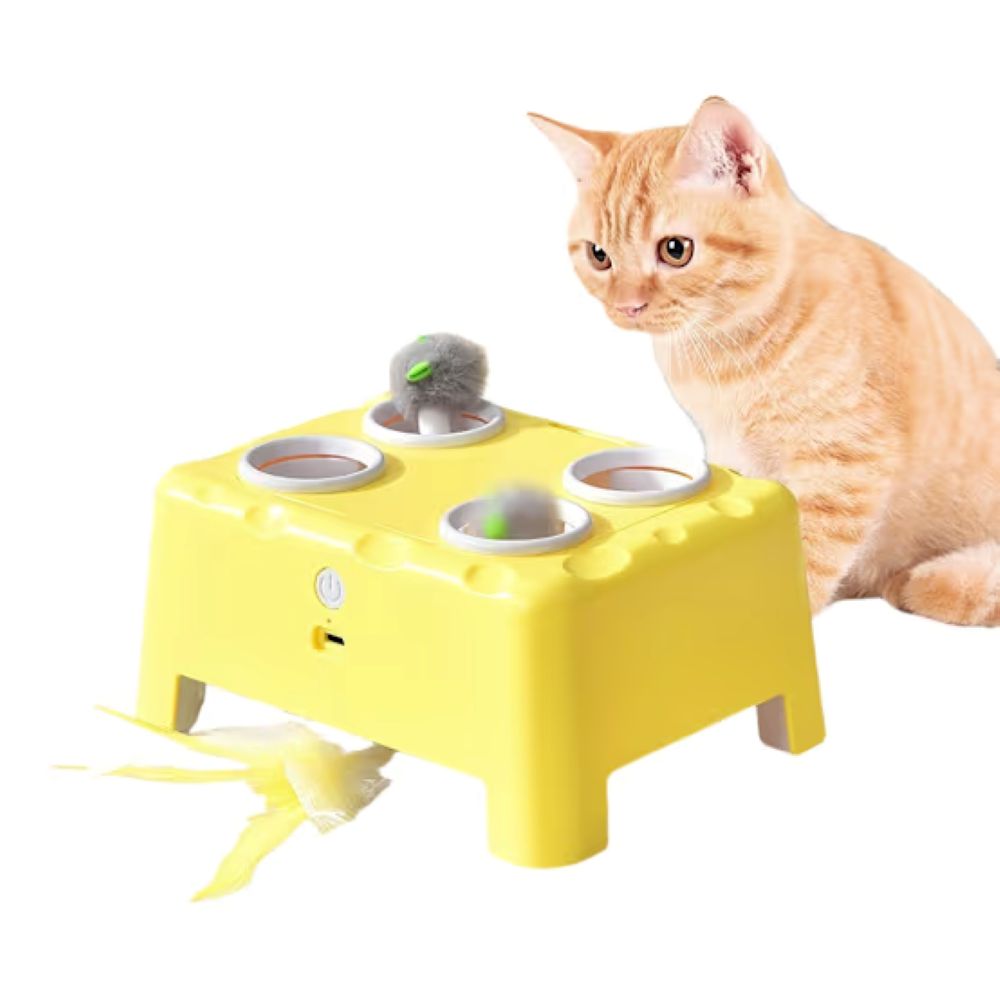 3-in-1 Automatic Interactive Cat Toy – Mouse, Feather & Sound Play