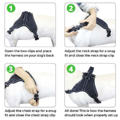 Adjustable Safety Dog Harness