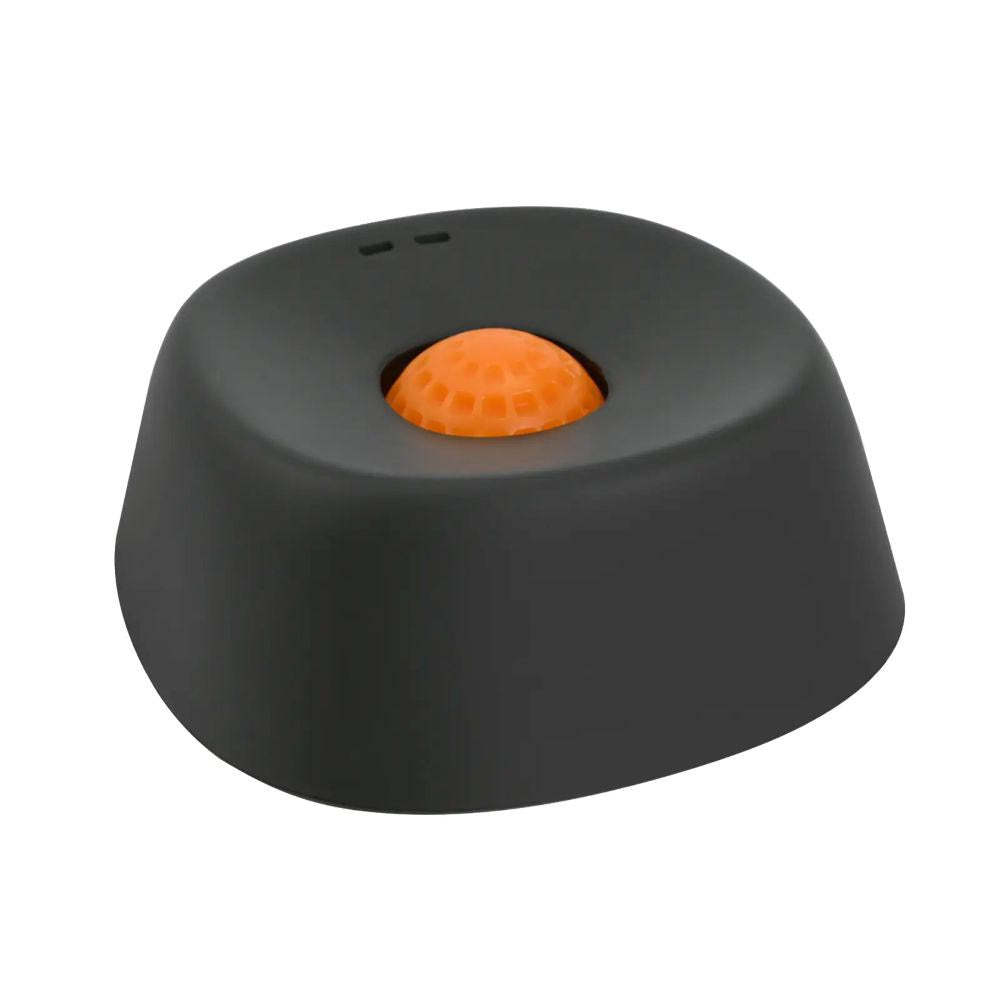 Anxiety Relief Dog Bowl