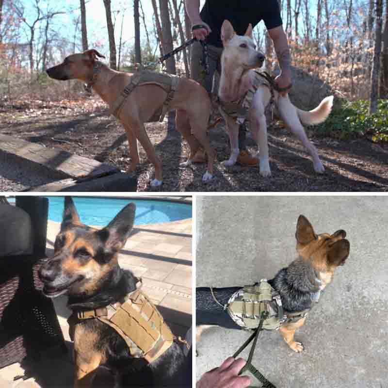 Tactical No-Choke Dog Harness Service Vest With Top Handle