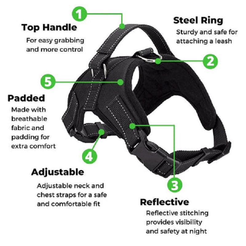 Adjustable Safety Dog Harness