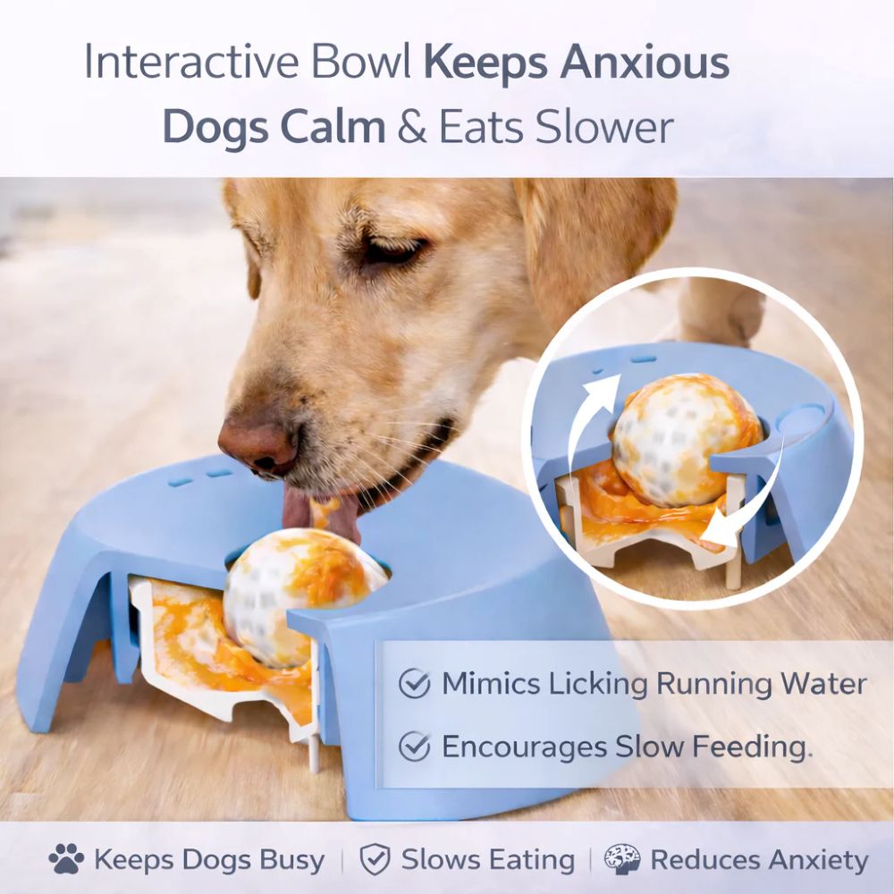 Anxiety Relief Dog Bowl