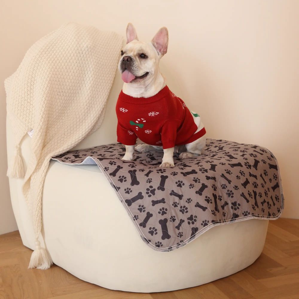 PuppyPad - The Last Pee Pad You'll Get