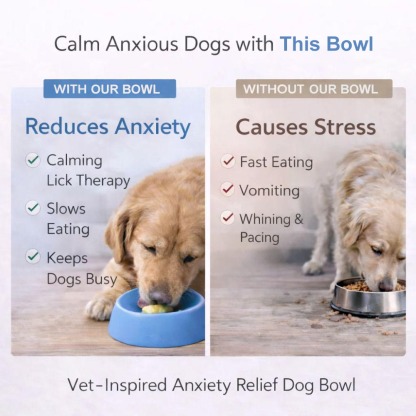 Anxiety Relief Dog Bowl