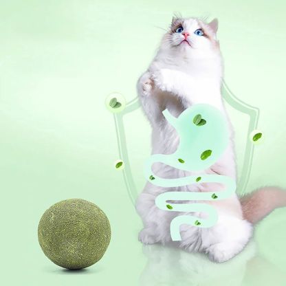 Giant Catnip Ball - Extra Large 10cm+ Jumbo Size For Cats