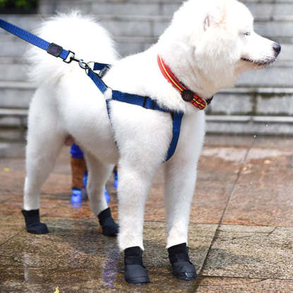 Waterproof Silicone Dog Rain Boots - 4-Pack