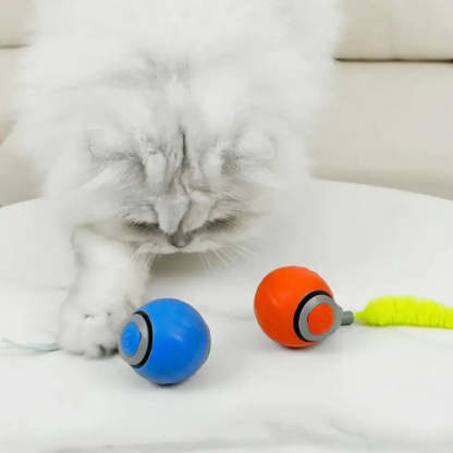 Speedy Tail 2.0 - The New King of Interactive Ball Toys