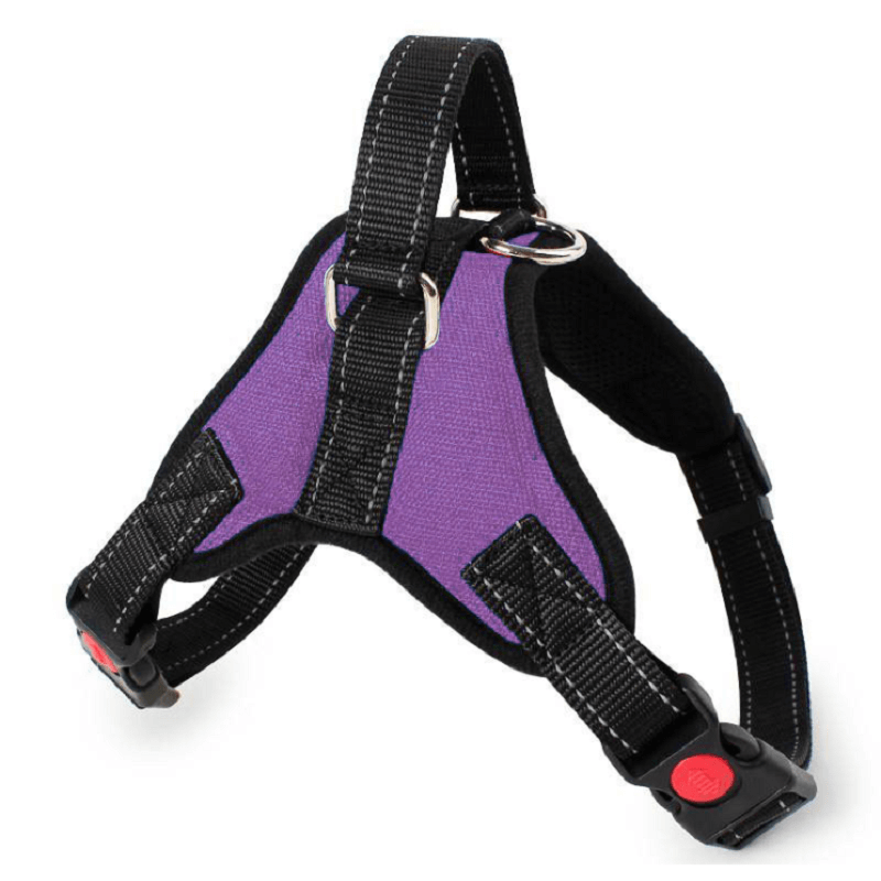 Adjustable Safety Dog Harness