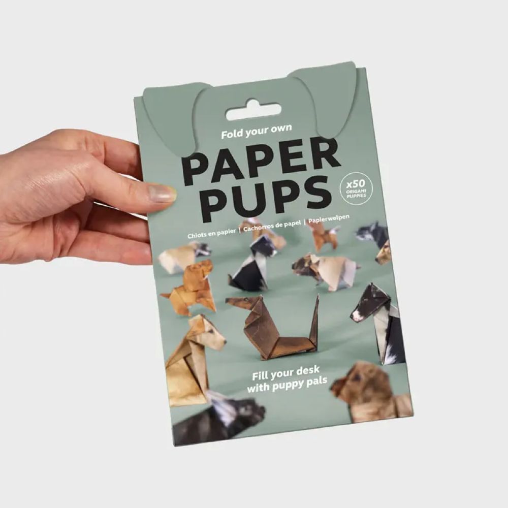 Easy DIY Paper Cats Kit - Guided Lines & Instructions Included