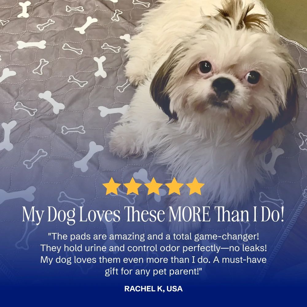 PuppyPad - The Last Pee Pad You'll Get