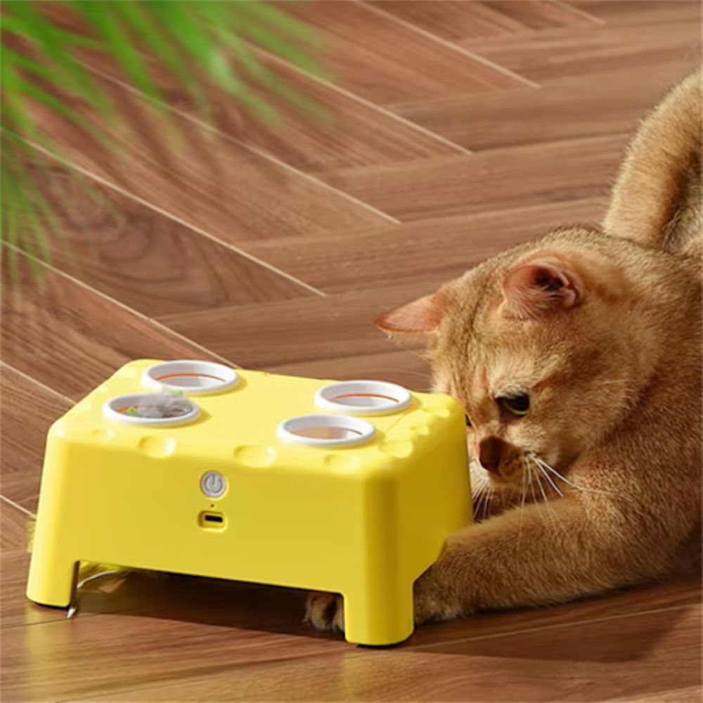 3-in-1 Automatic Interactive Cat Toy – Mouse, Feather & Sound Play