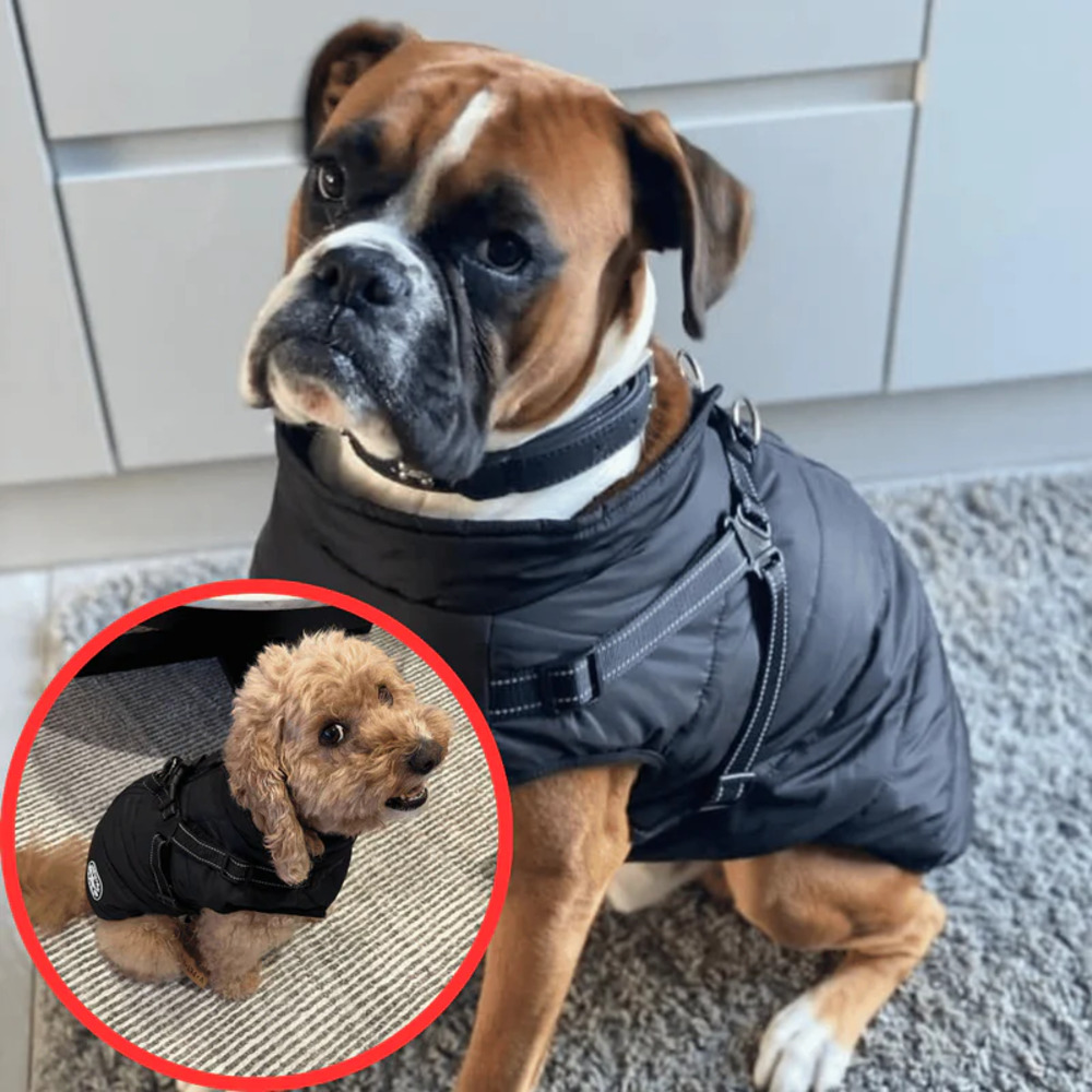 Waterproof Winter Jacket with Built-in Harness