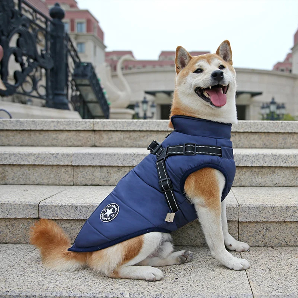 Waterproof Winter Jacket with Built-in Harness