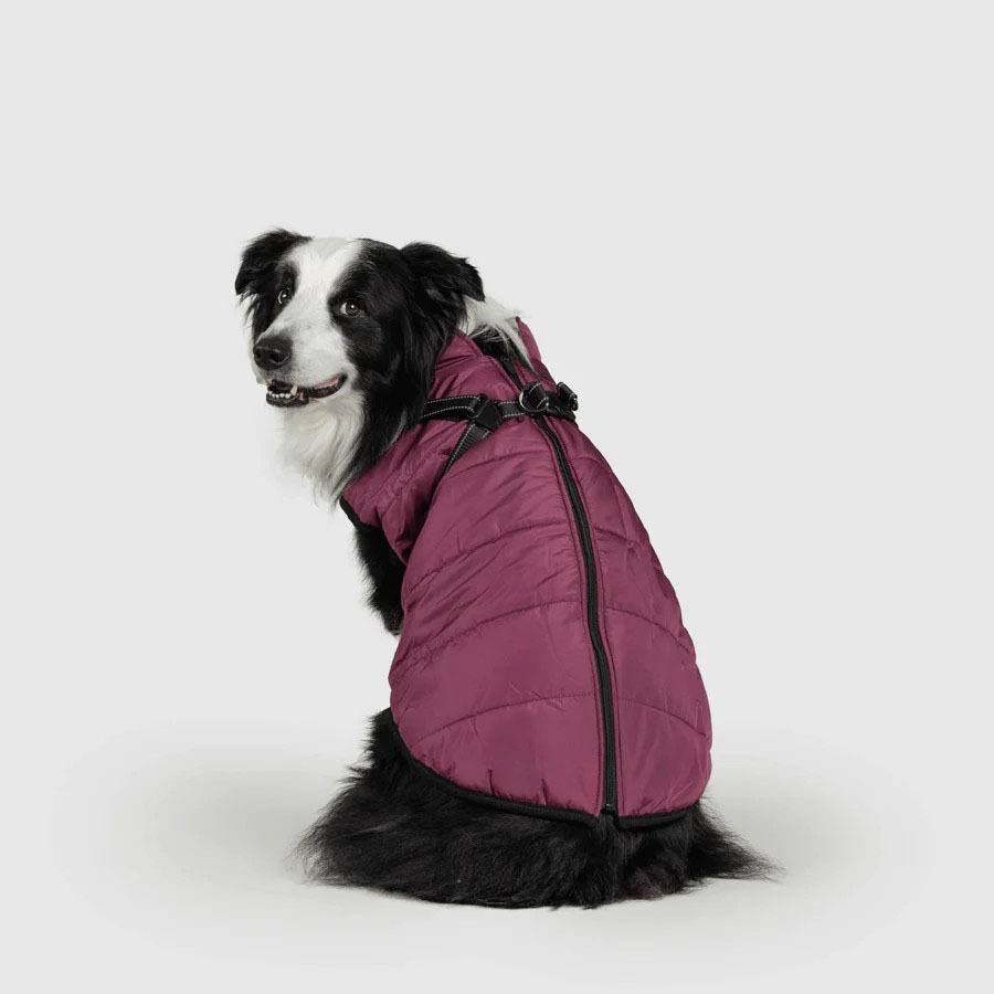 Waterproof Pet Jacket with Built-in Harness, Fleece Lining & Reflective Design
