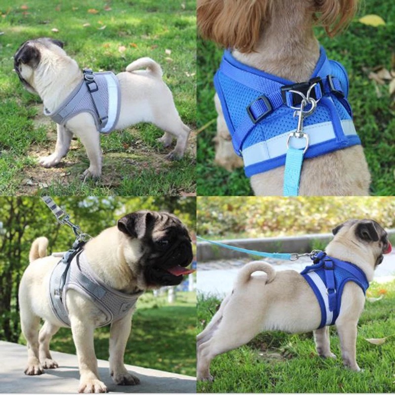 Reflective Safety Afety Harness and Leash Set (For Dogs XXXS to M)